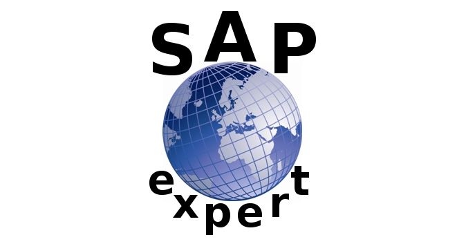 SAP Expert Logo